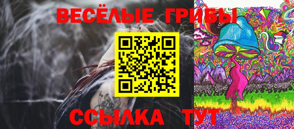 Галлюциногенные грибы прущие грибы  Вход с VPN  Янаул 